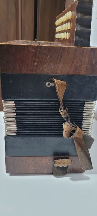 Acordeon vintage