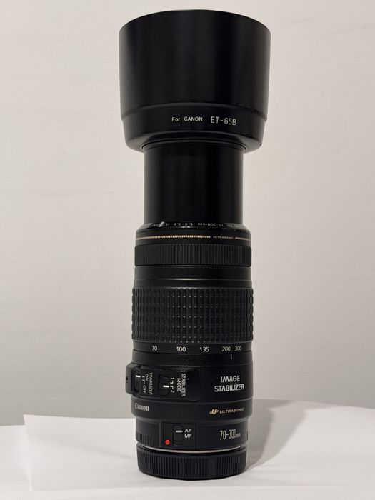 Canon EF 70-300mm f/4-5.6 IS USM.