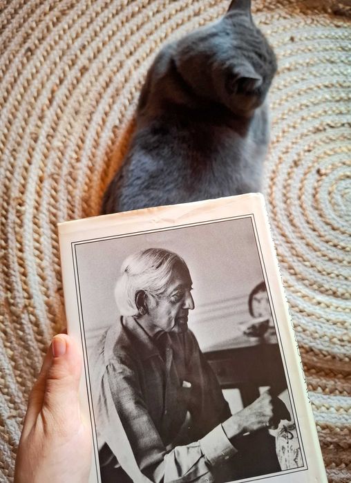 The Ending of TIME, J Krishnamurti & David Bohm, Gollancz