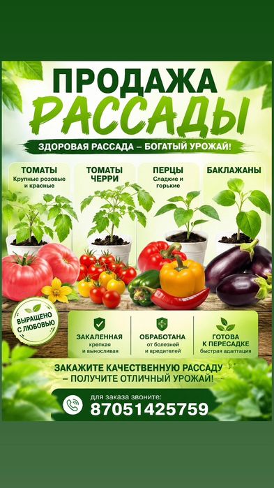 Рассада на КСК! Костанай!