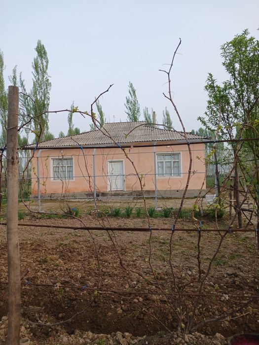 Жилой дом бука район бустон