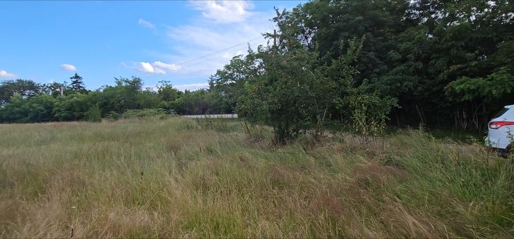 Promotie ! 10 ari (1.000 mp) la 13 500 euro/ terenul are  acces direct la drum asfaltat