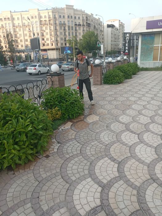 Обработка дезинфекции деревьев дарахтларга дори серия  садовник богбон