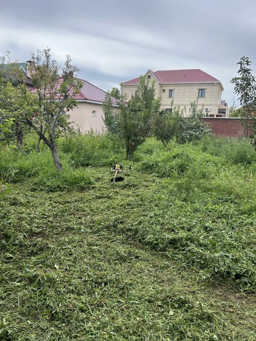 Шоп шабу триммермен