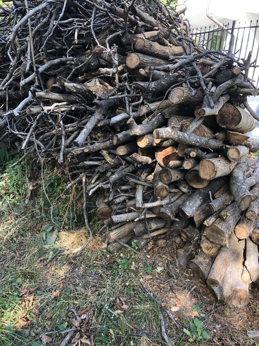 Продавам-подарявам Дърва за огрев и разрешително за превозване