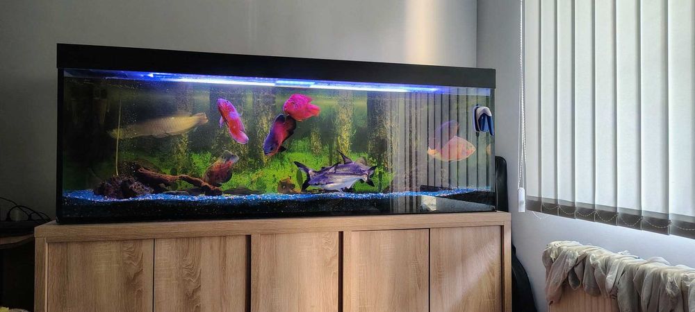 Acvariu 180x60x60  750 liter