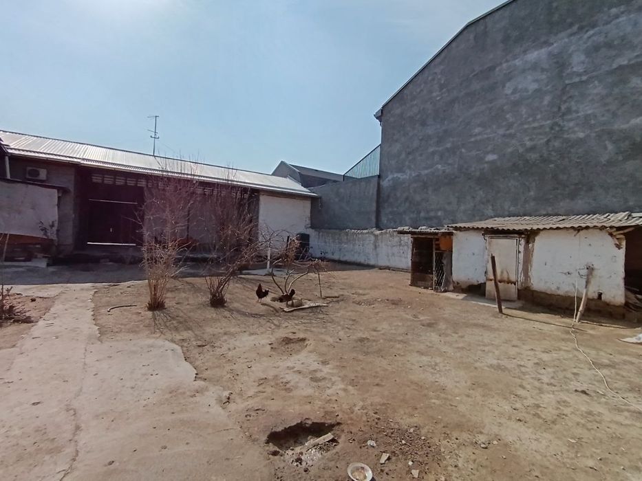 Ховли ориентир хужасоат