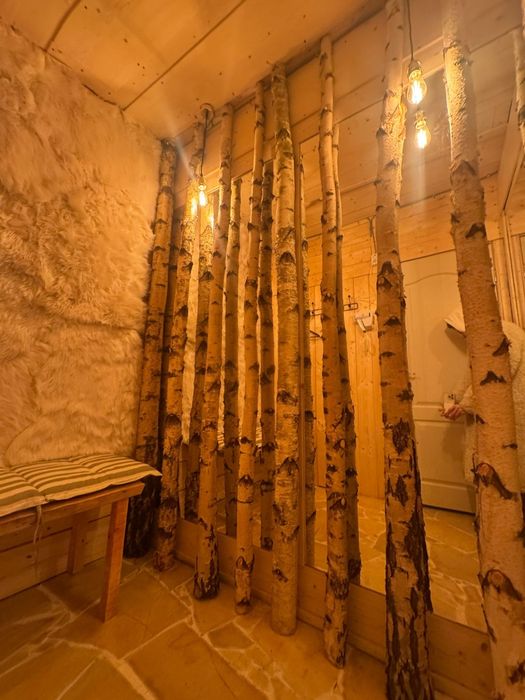 Inchiriere sau parteneriat Bio  Natural Spa Trei Brazi Predeal