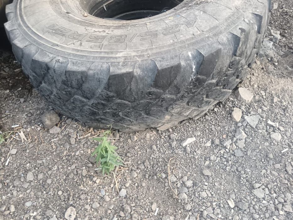 Продам шины камаза