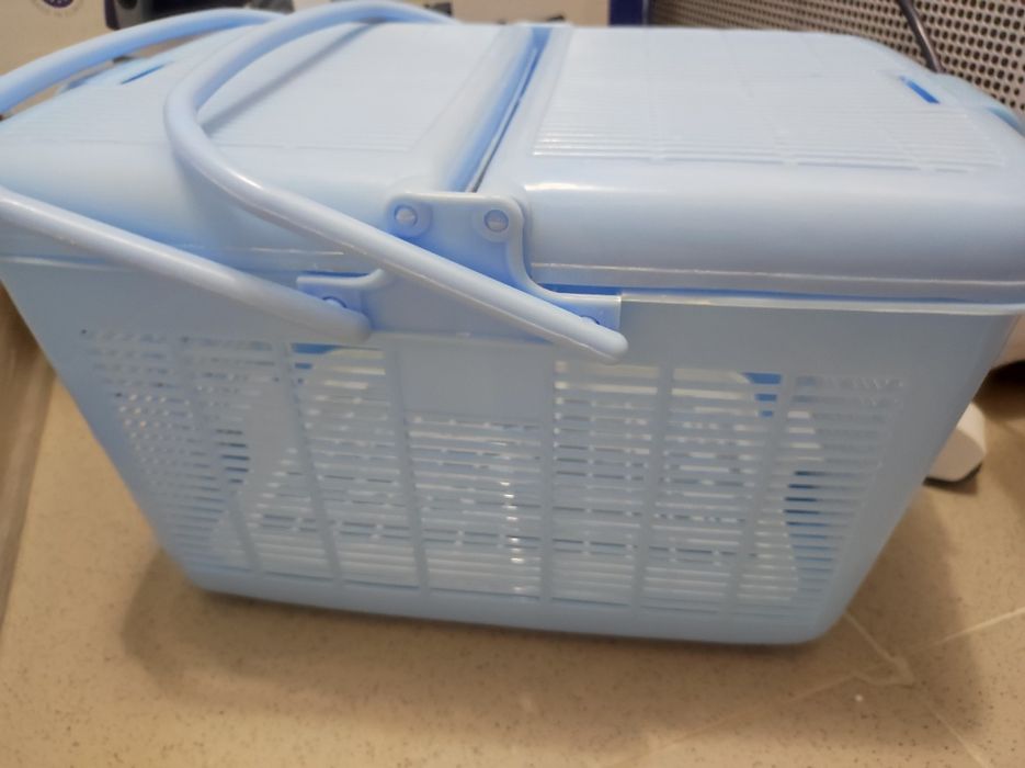 переноска для котят