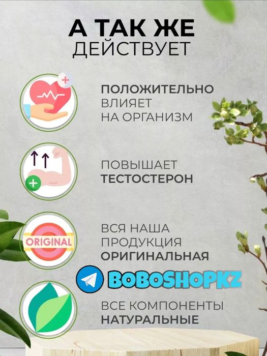 активаторнаш паловелама