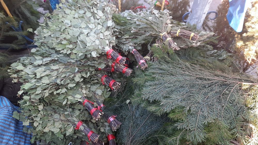 Пихтовые еловые сосновые ветки