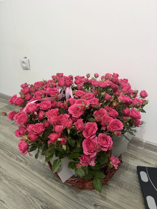 Продам Цветы , розы кустовые