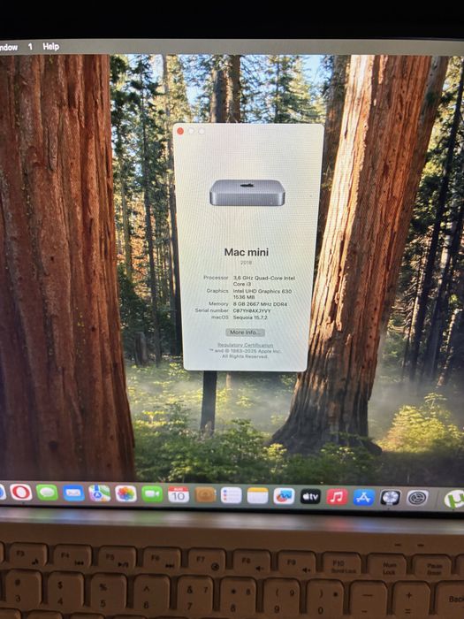 Laptop mini macbook procesor de voce