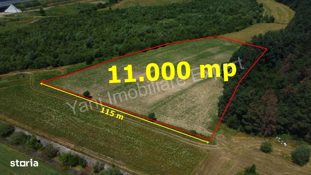 Teren de vânzare în comuna Băiculești, Judet Argeș ( 11.000 mp )