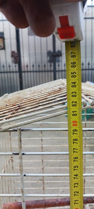 Vind cușcă papagali micul  Alexander