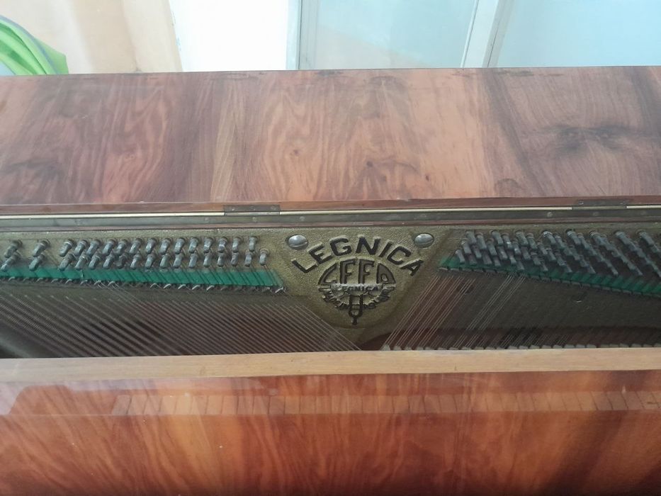 LEGNICA klassik pionino