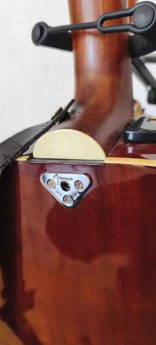 Chitara Electro Acustica cu Gat Reglabil Michael Kelly Doza Fishman