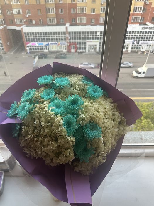 Арзан бағада гүлдер