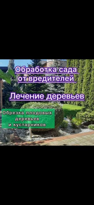 Обработка деревьев  дарахтларни дорилаш