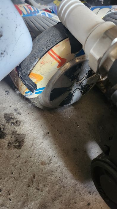 Sigveylar sotiladi 1 dona qoldi