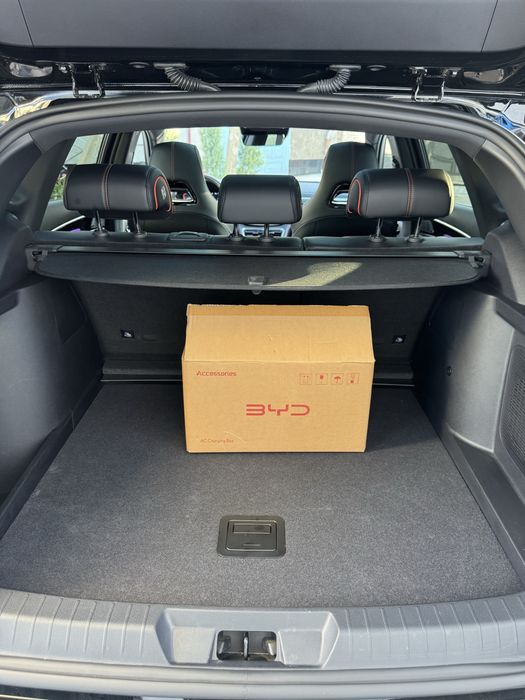 Byd chempion gibrit