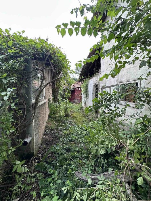 Продава се къща в село Типченица