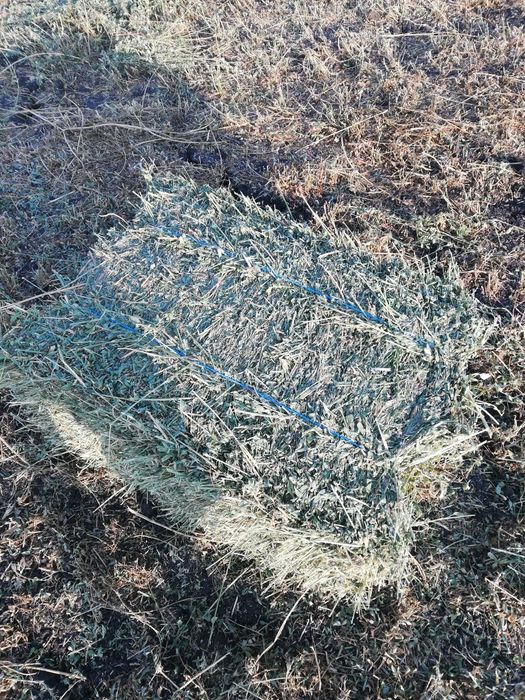 Продавам малки люцернени бали