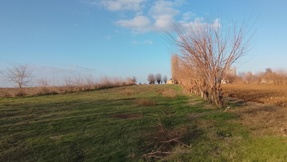 Срочна котта йеримиза сотувга чикди 51 сотих