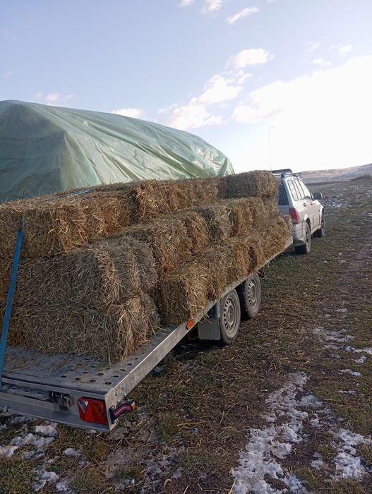 Vând baloți paie