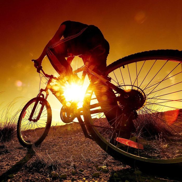 Помпа за гуми, топки, матраци, лодки с манометър