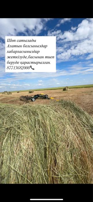 Шөп сено руллон сатылады