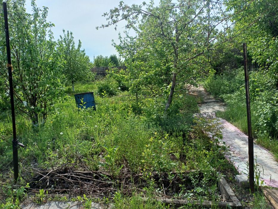 Дача сад " Мелиоратор "