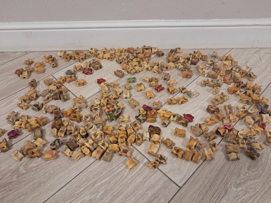 Асыки  бараньи натуральные.