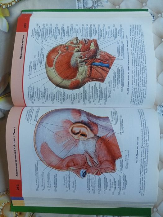 Atlas anatomiyasi sotiladi