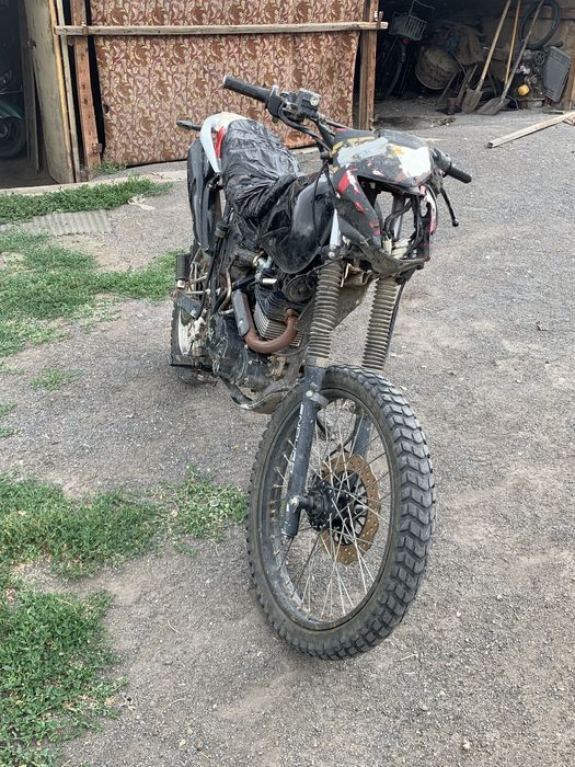 Зид 2019 Лис 250 куб