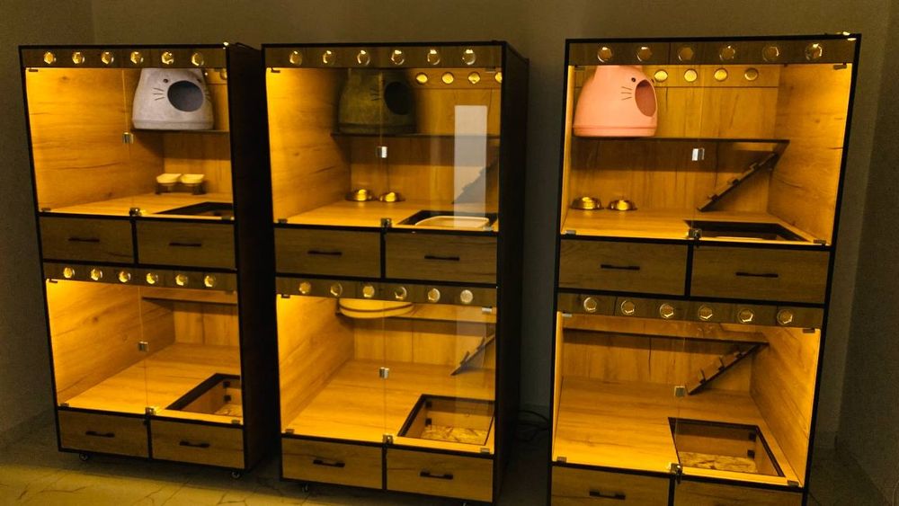 Зоогостиница на Юнусобаде от 100 000 сум/сутки. Заботливая передержка