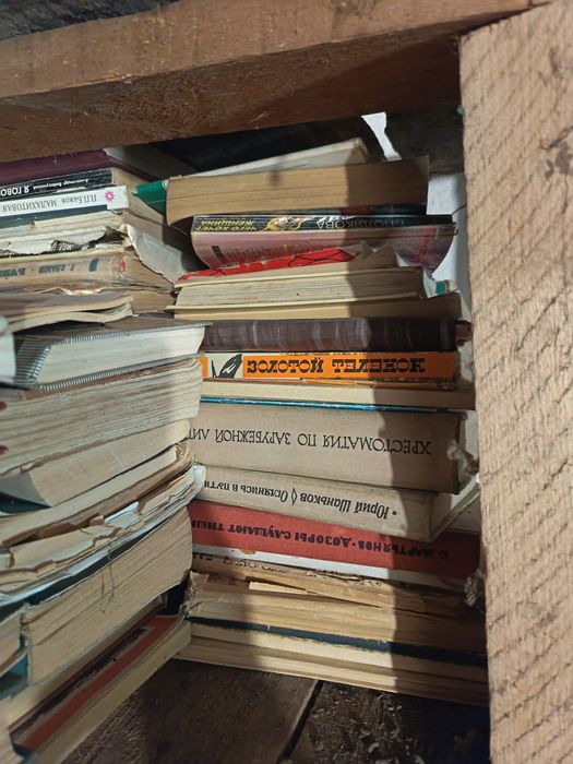 Библиотека, книги