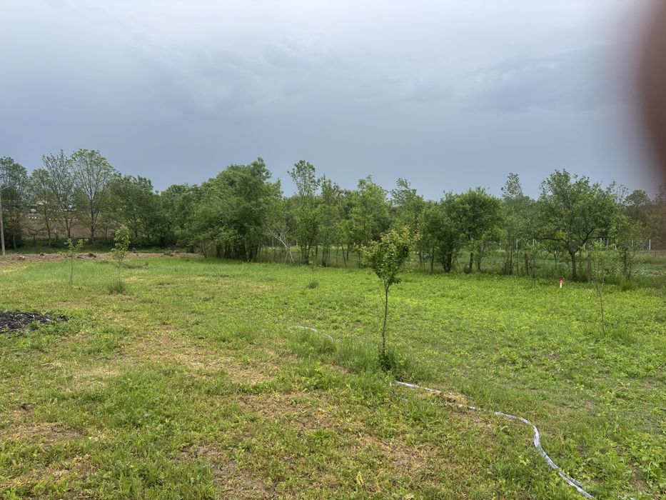 Vand teren In Recas sat Petrovaselo 1050 mp 19999 euro!!