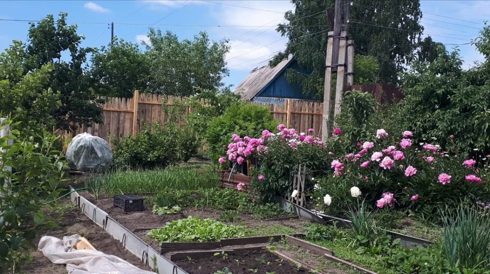 Забор деревянный под ключ