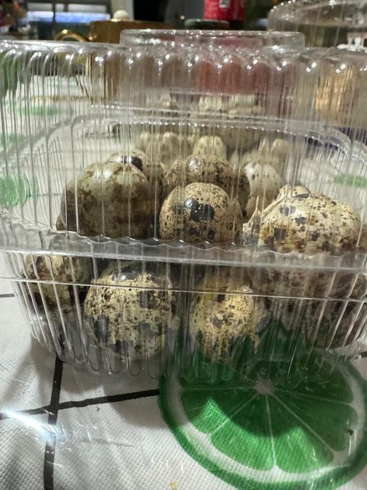 Яйцо перепелок, домашние