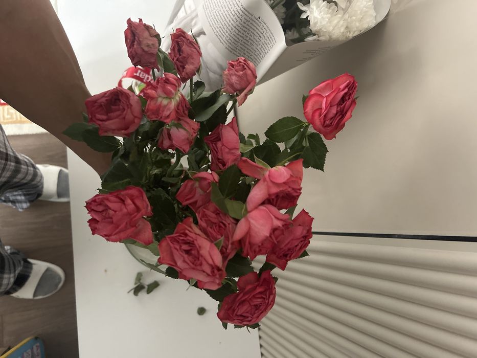 Продаю цветы за 5-7 тысяч