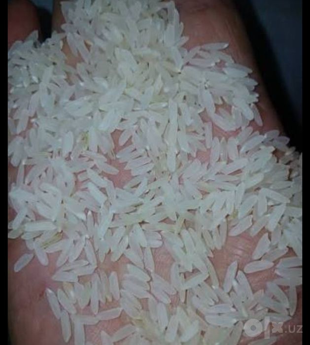 Lazer oʻptimga beramiz