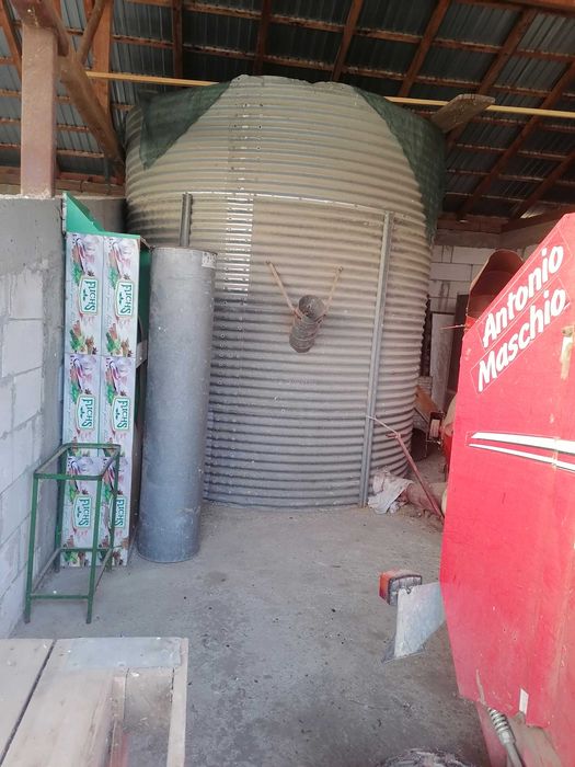 Ovăz soiul Mureșan de vânzare