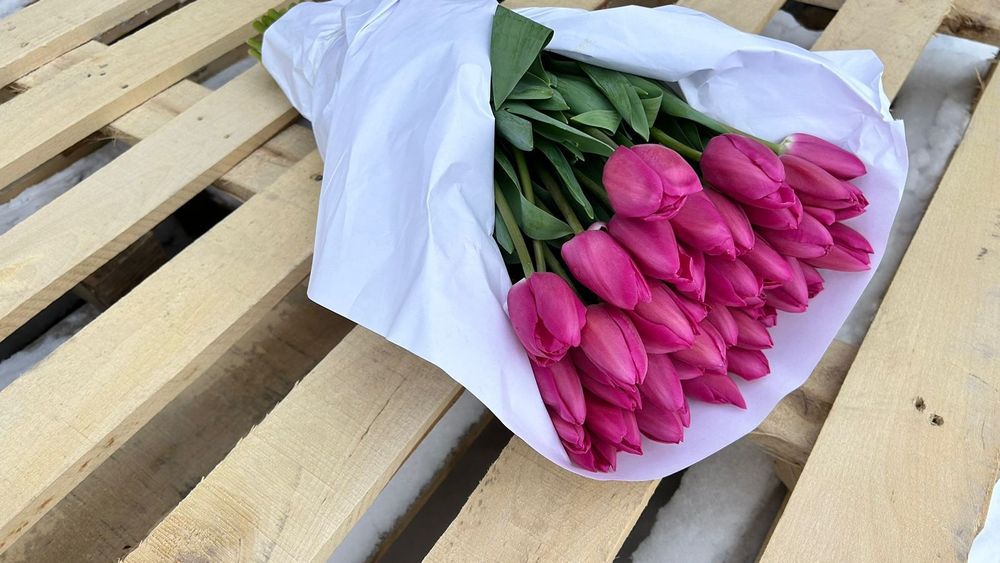 Тюльпаны оптом и в розницу