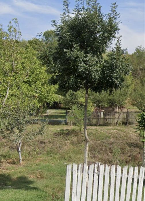 2700mp, Proprietate de vanzare- MERENI, Barasti, Olt