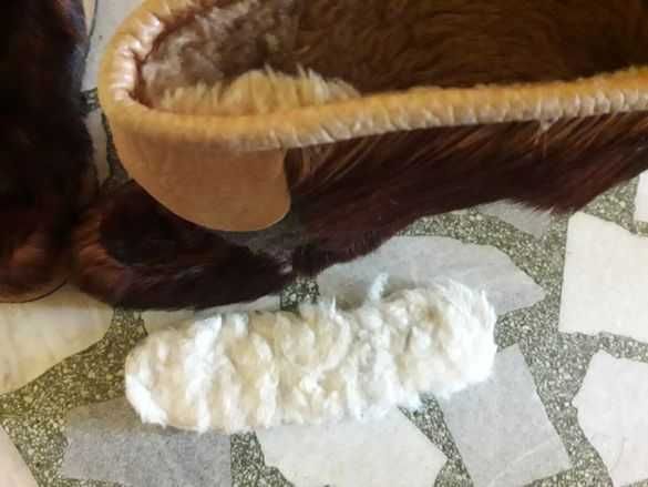 Зимни обувки - Everest N40 и ZBM Jaguar (естествен косъм) N41