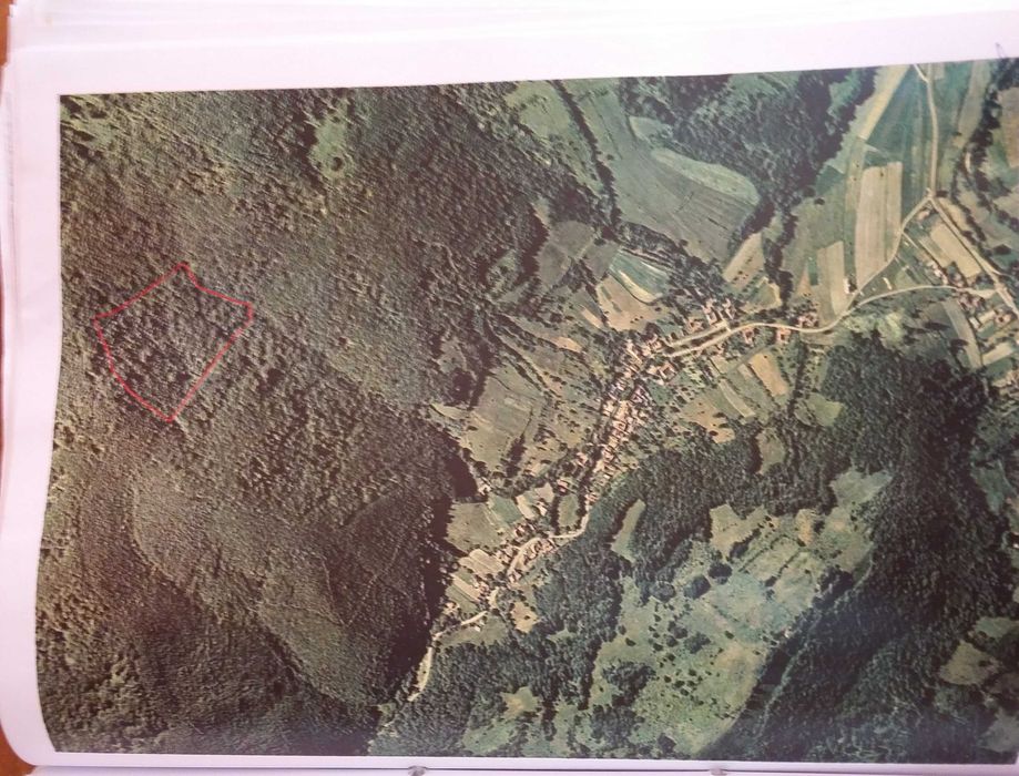 Teren extravilan, faneata, padure, 4.53 ha/hectare