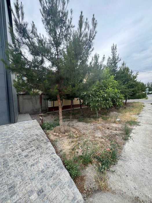 Noturar Bino Sotiladi!  Mirzo Ulugbek tumani (Amir Temur mahallasi)