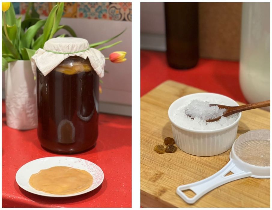 Set pentru băuturi probiotice – Kombucha + Kefir (Chefir) de apă